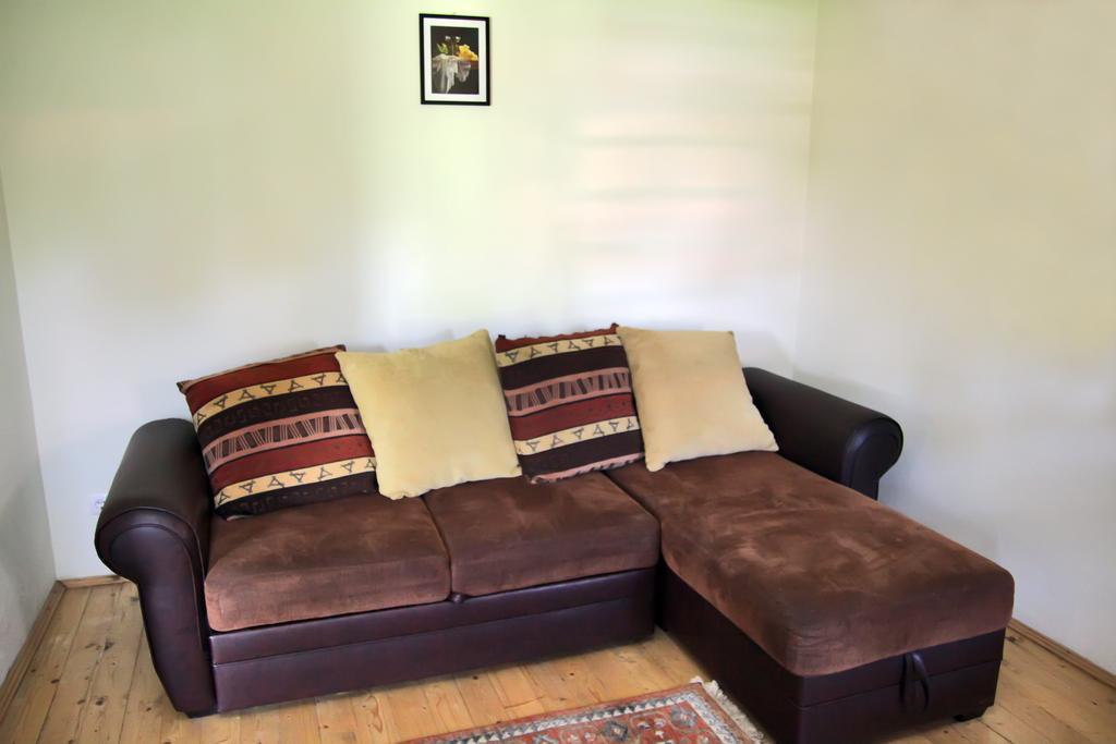 Pensiunea La Bradul Inalt Porumbacu de Sus Habitación foto