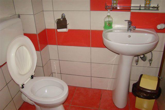 Pensiunea La Bradul Inalt Porumbacu de Sus Habitación foto
